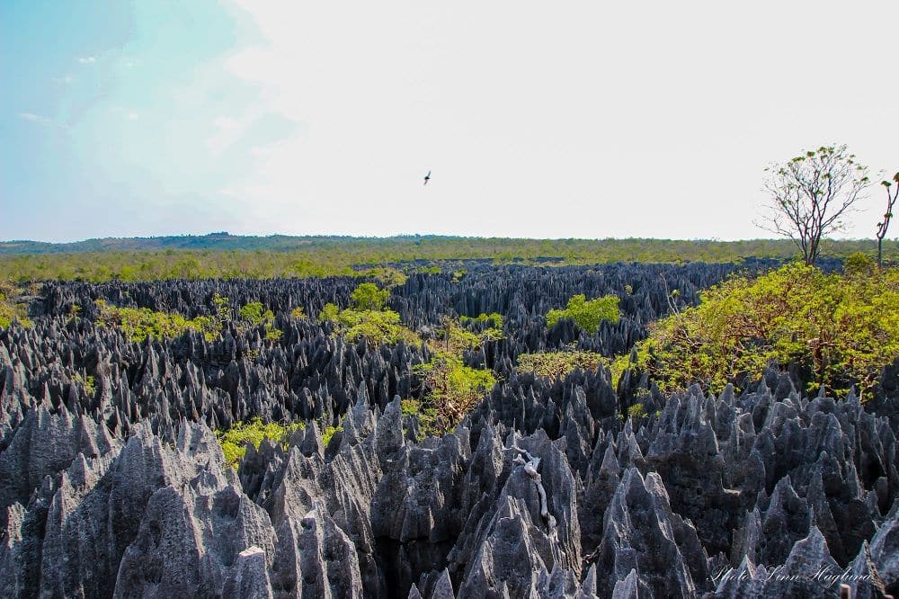 View over granite pinnacles.