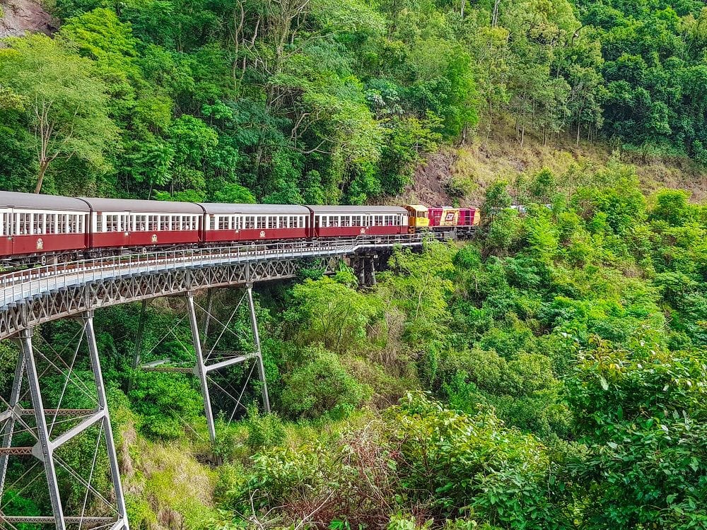 A train crossing rainforest on a raised metal bridge.