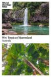 Text: Wet Tropics of Queensland, Australia. Images: above, a waterfall; below, looking up at the leaves of a fern tree.