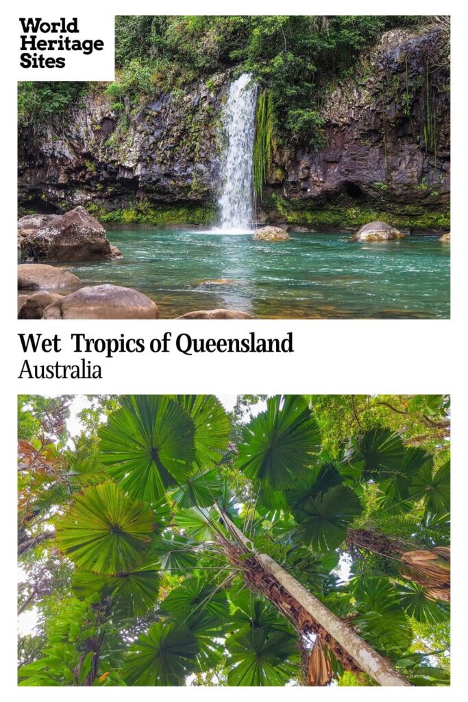 Text: Wet Tropics of Queensland, Australia. Images: above, a waterfall; below, view up to the leaves of a tree fern.