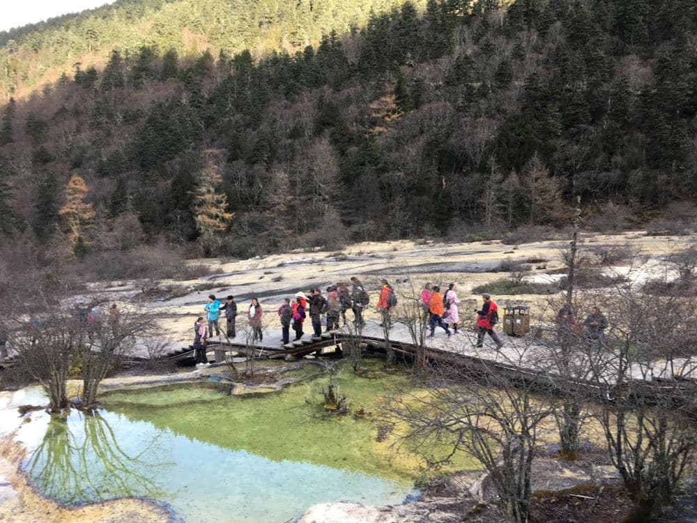 A group of visitors walk on a raised boardwalk next to a greenish-blue pond.