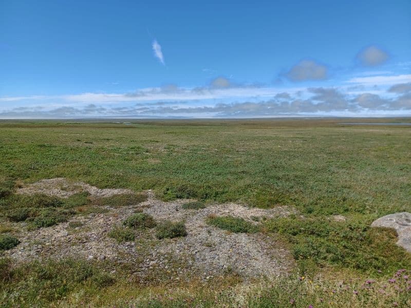 A very big view over a flat field that reaches the horizon.