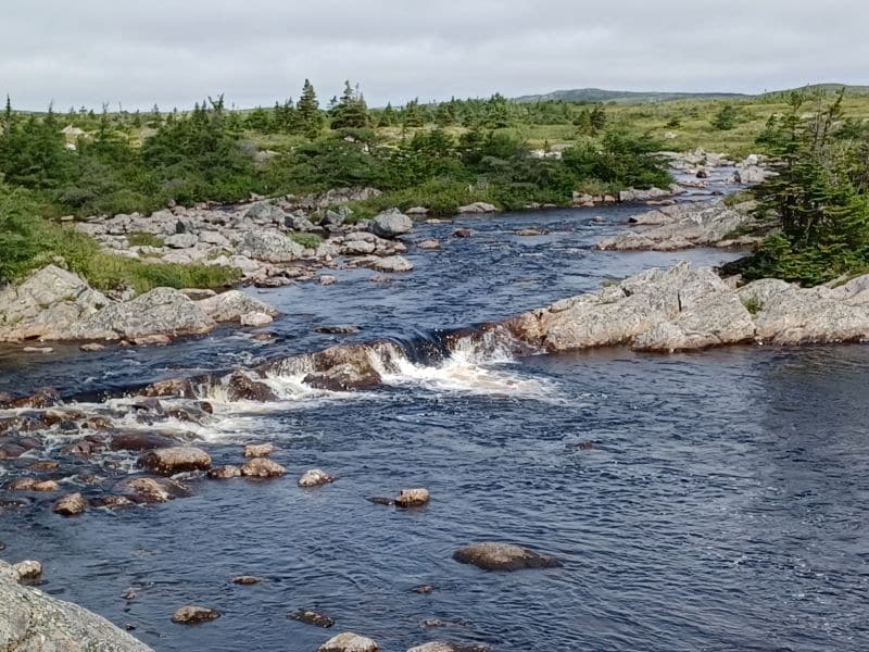 A stream bubbling over rocks