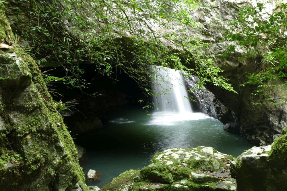 A natural stone arch over a pool of water, with lots of plants and ferns around it. Seen through the arch, a waterfall feeds into the pond.