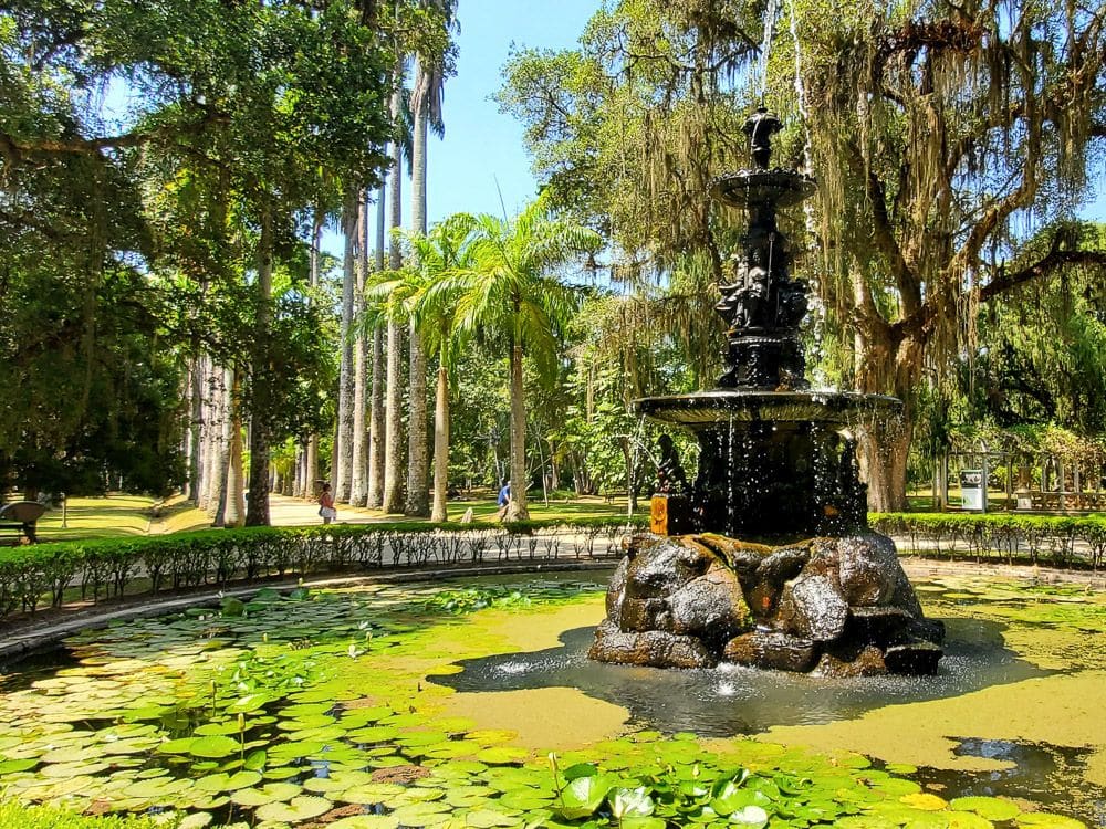 An ornate fountain lily pads around it, a tree dripping with Spanish moss, a road lined with tall palm trees.