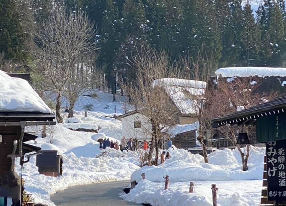 A cluster of farmhouses with peaked thatched roofs covered in snow.