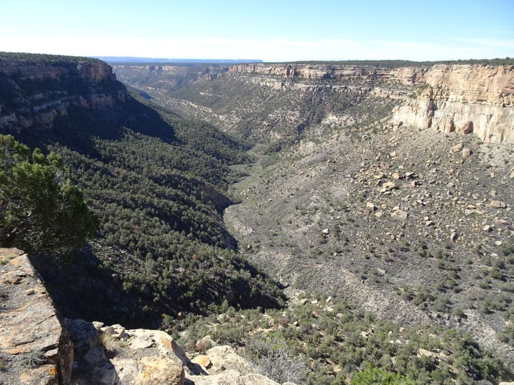 A view of the landscape shows a large canyon.