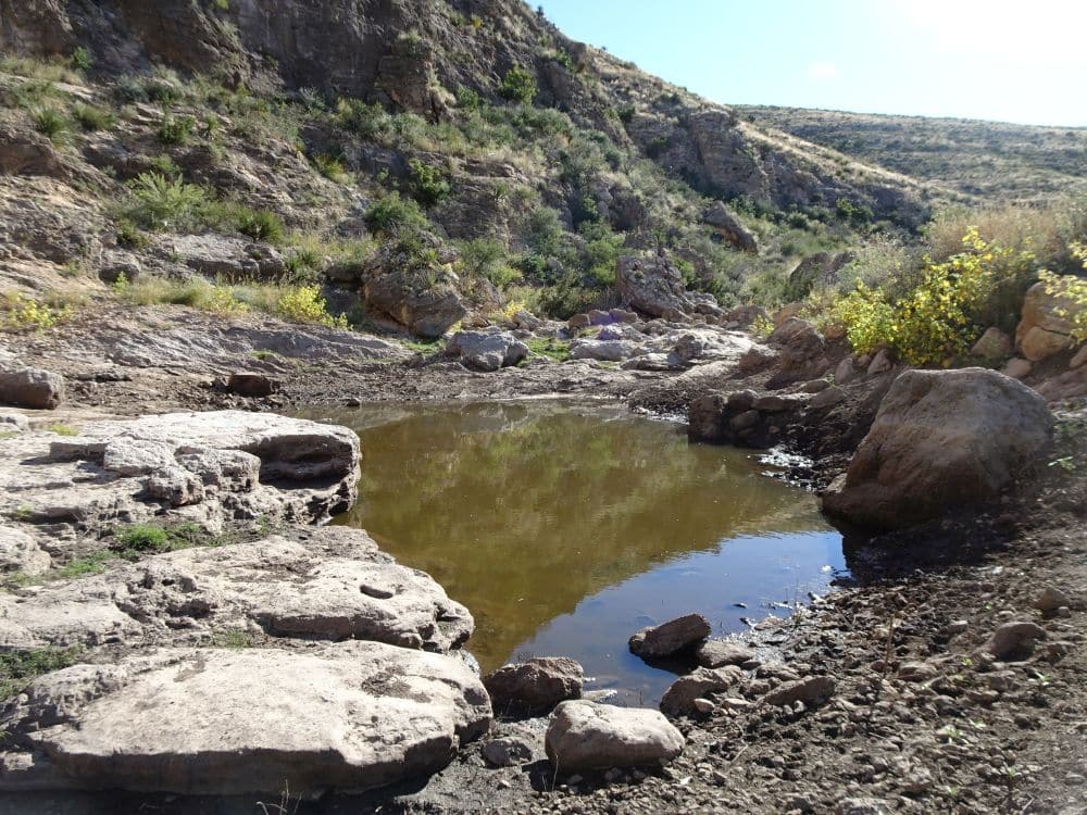 A small pond in a dry, rocky surroundings.