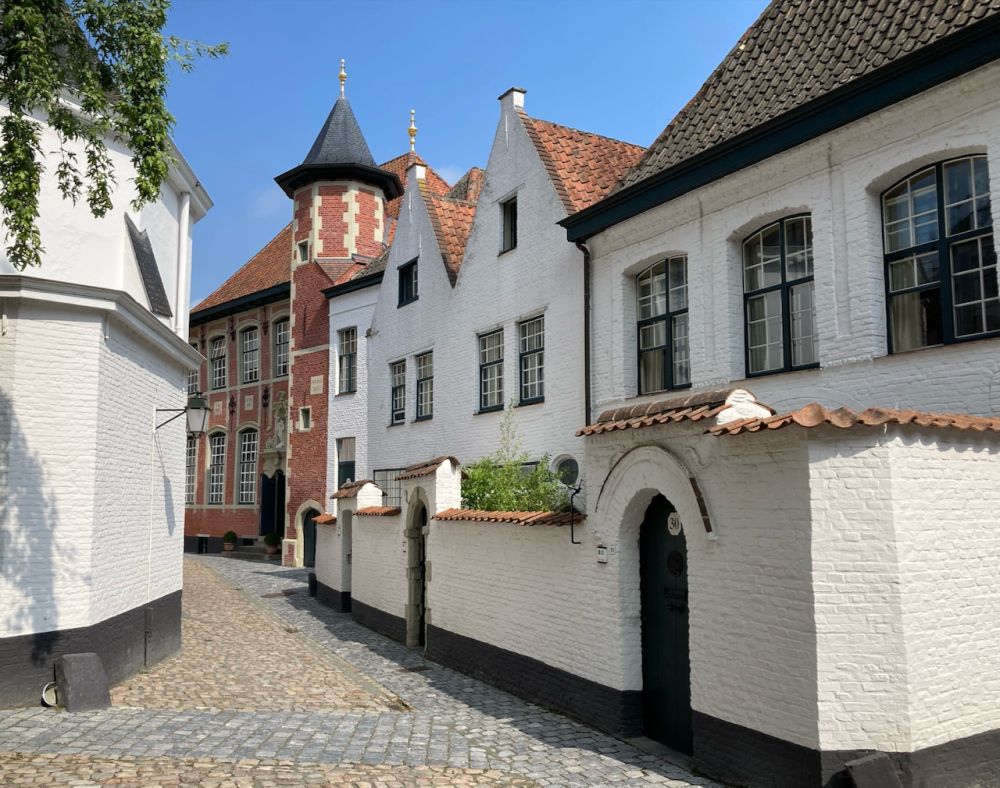 A row of 2-3 story houses, the nearer ones painted white and the furthest one red brick with a small round turret.