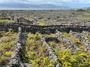 Landscape of the Pico Island Vineyard Culture