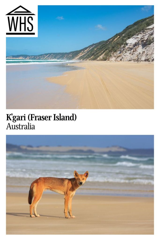 Text: K'gari (Fraser Island), Australia. Images: above, a view down the beach; below, a dingo.