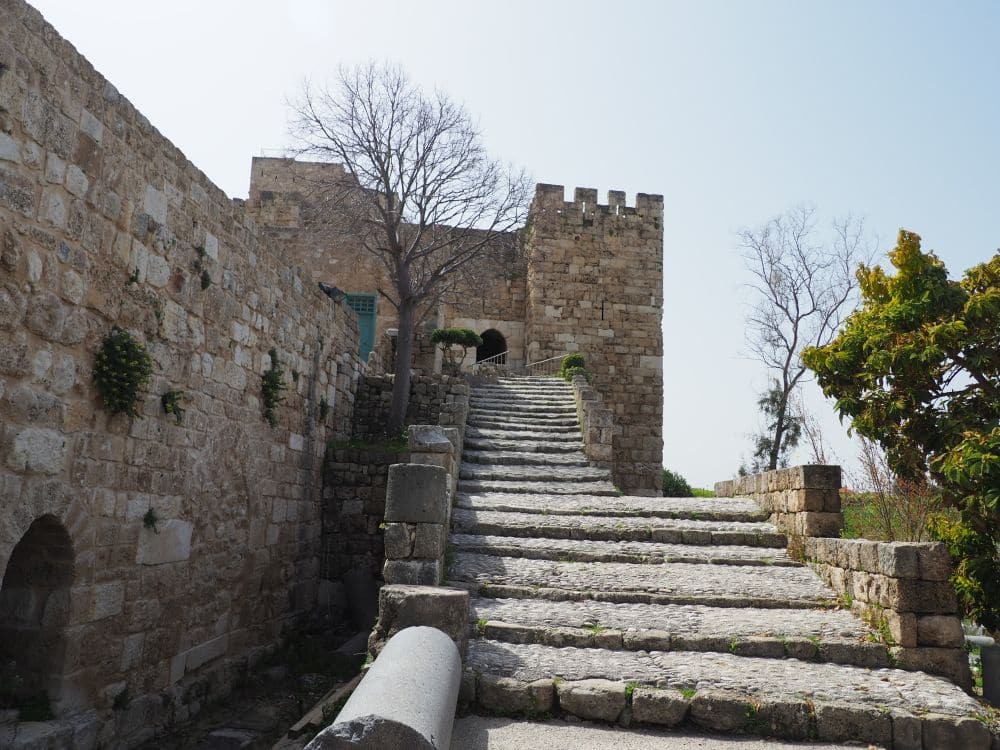 Gradual stone stairway, a high stone wall on one side, leads up to a gate in the castle wall.