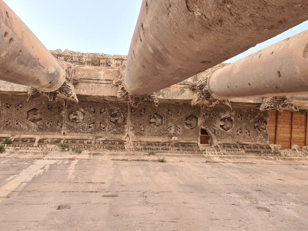 Looking straight up, columns at the top of the photo, a wall at the bottom, the ceiling pieces have ornate decorative bas-reliefs including some images of people.