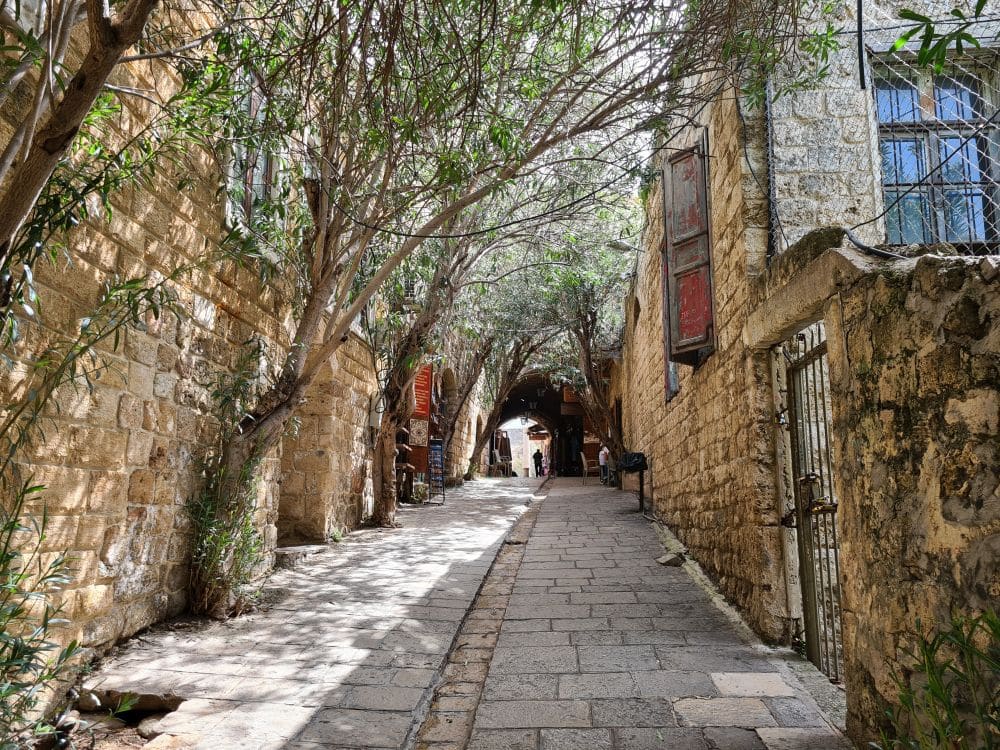 A stone-paved street, walls of buildings on either side and trees stretched across it, shading it.