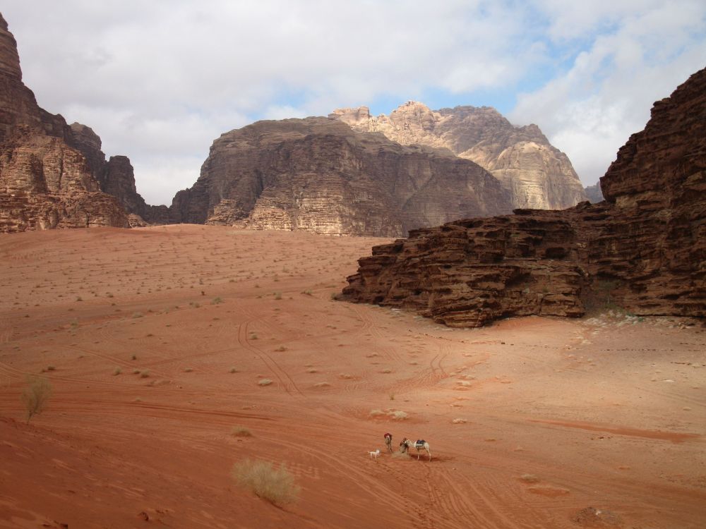 A vast landscape view of Wadi Rum with a sandy desert floor and large rock formations around it, and, very small in the bottom center, a few camels.
