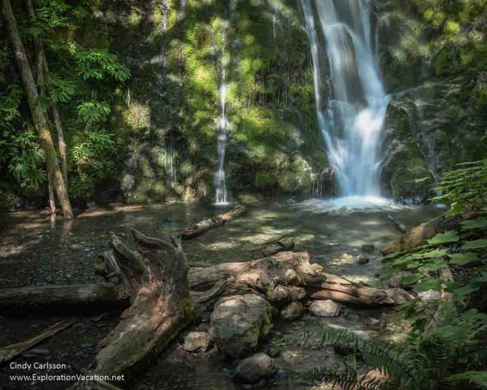 A waterfall into a small pool. Dappled light because the pool is surrounded by trees.