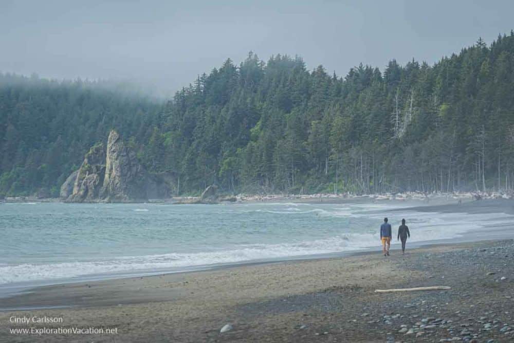 A view of a beach in Olympic National Park: two people walking along the water's edge, forest in the background beyond the curve of the beach, fog low over the forest.