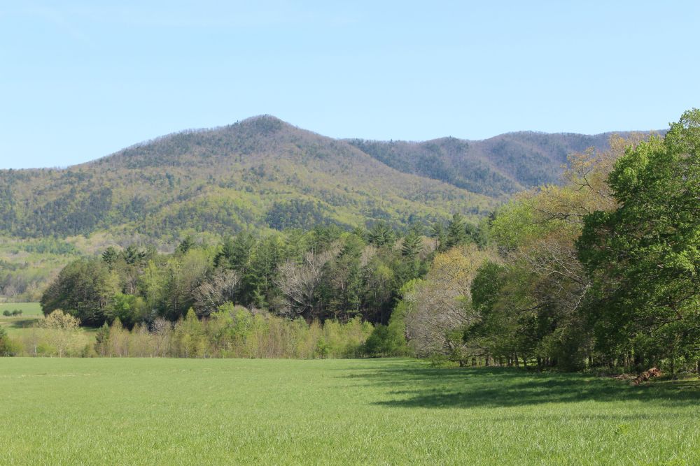View of a green valley with pasture, edged with woods, and mountains in the background.