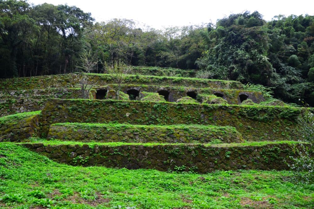 A row of openings into a hillside, all covered in moss or grass.