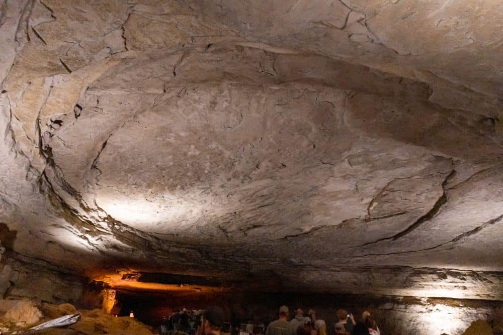 A large rounded shape on the ceiling of Mammoth Cave.