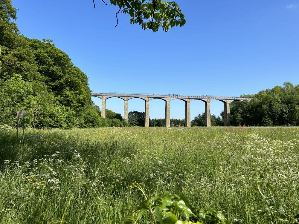 A view of the whole Pontcysyllte aqueduct: tall arches over low-lying ground.