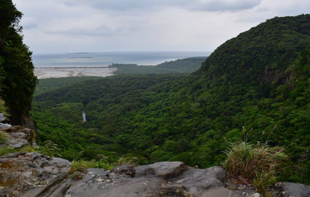 Ledge underfoot, view down a forest-covered mountain to a mud flat and the sea.