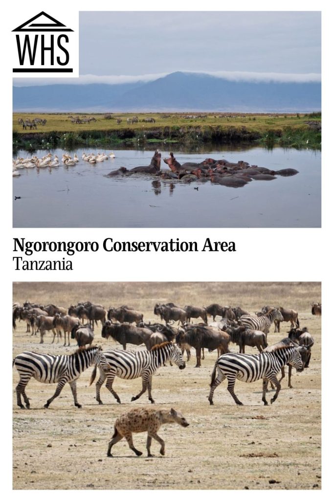 Text: Ngorongoro Conservation Area, Tanzania. Images: above, hippos and birds in a pond; below, hyena, zebras and wildebeest.