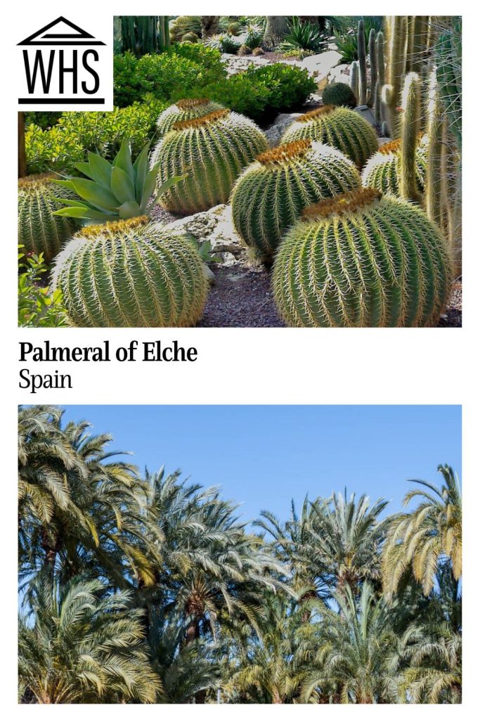 Text: Palmeral of Elche, Spain. Images: above, a cactus garden; below, palm trees.
