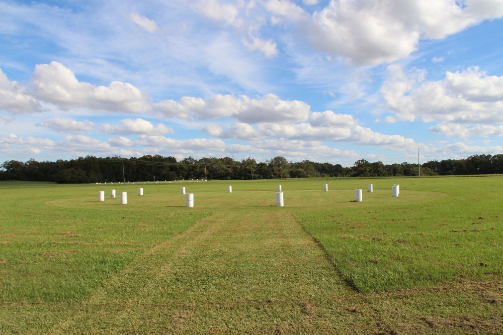 In a flat grassy field, white markers show a circle in the grass.