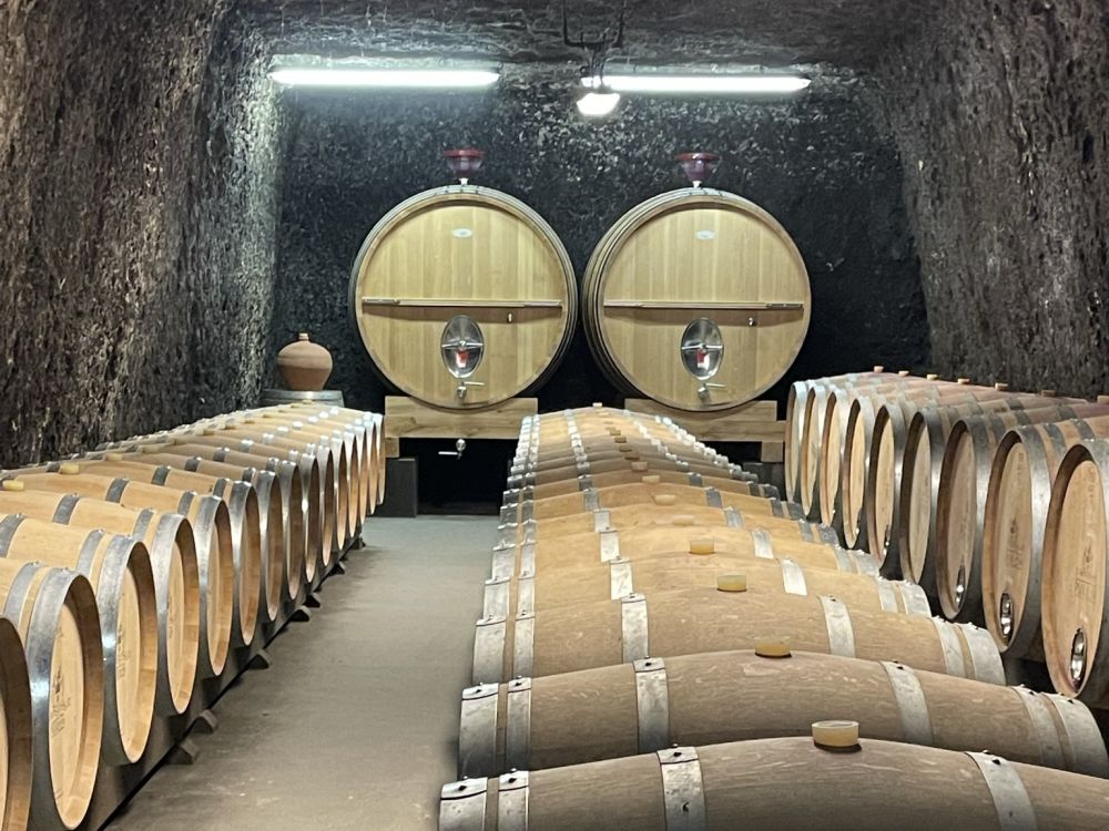 A cave with rows of large wine casks.