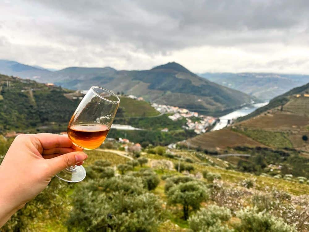 A big landscape of mountains and hills with a town in a valley below and vineyards on the hillsides. In front, a hand holds a glass of Port.