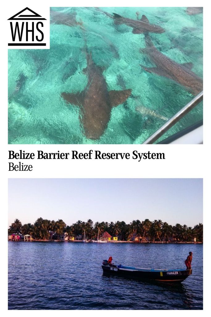 Text: Belize Barrier Reef Reserve System, Belize. Images: sharks in shallow water above, a view over the water to a boat and an island below.
