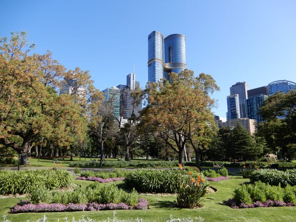 A flat formal garden and skyscrapers in the background.