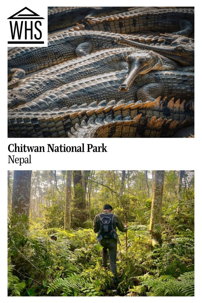 Text: Chitwan National Park, Nepal. Images: above, many crocodiles; below, a man walking through woods.
