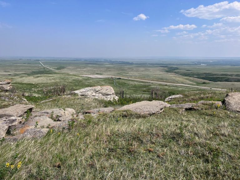 Plains Communal Hunting Method and Sites