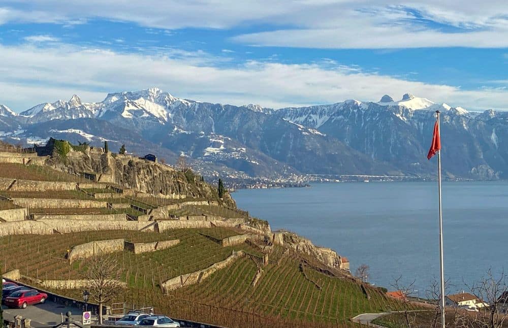 Rows of walls on a hill show the contours of the terraces. The lake below and snow-capped mountains in the distance.