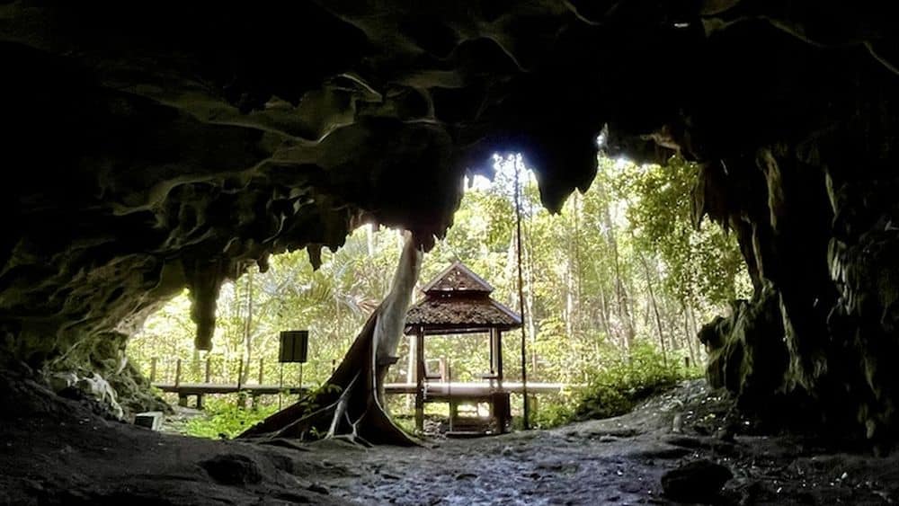 Inside a cave looking out at green forest.