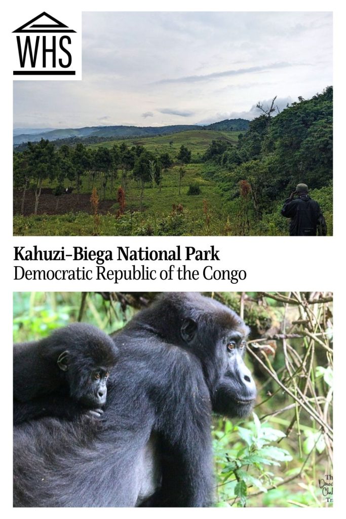 Text: Kahuzi-Biega National Park, Democratic Republic of the Congo. Images: above, a view of the park; below, a gorilla with her baby on her back.