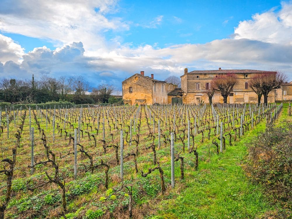 A vineyard with rows of grapevines and an old chateaux in the background.