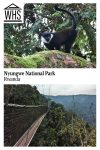 Text: Nyungwe National Park, Rwanda. Images: above, a monkey; below, a rope bridge