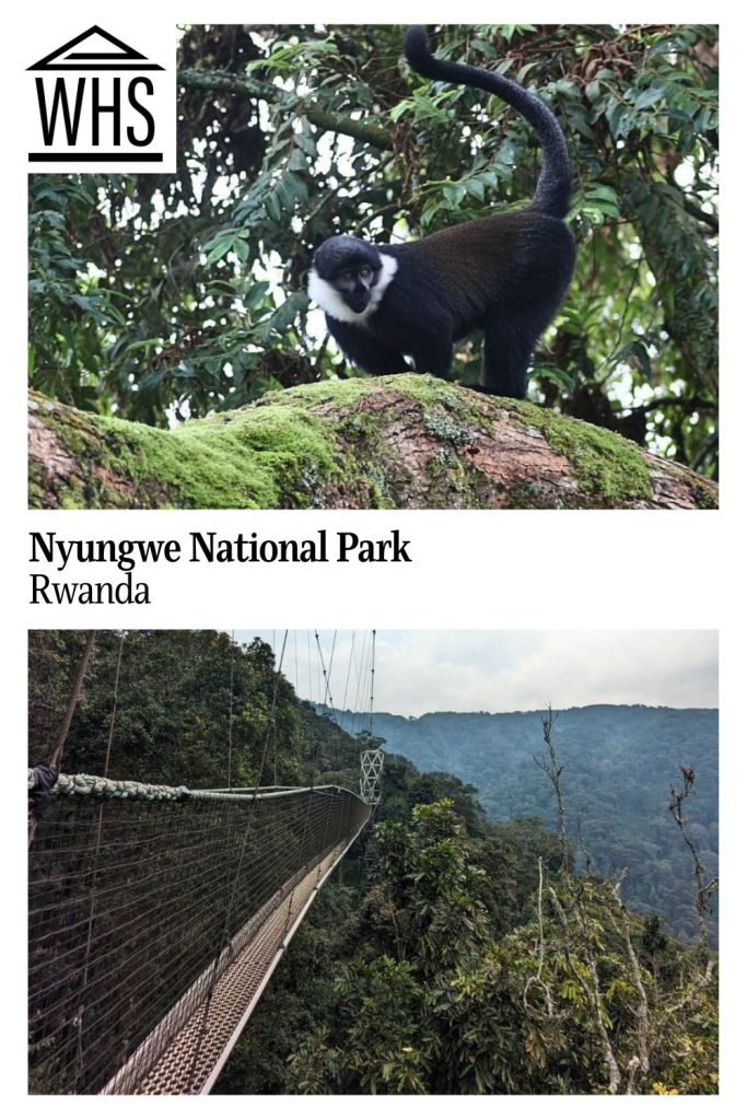 Text: Nyungwe National Park, Rwanda. Images: above, a monkey; below, a rope bridge