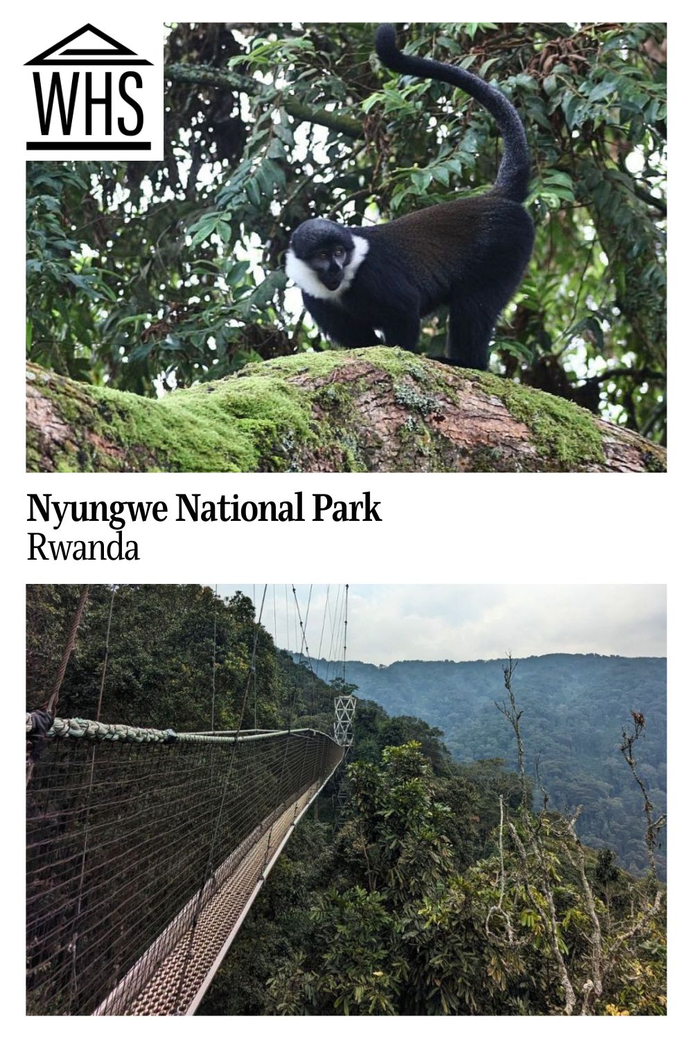 Nyungwe National Park | World Heritage Sites