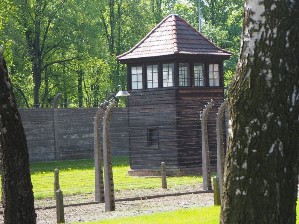 A square guard tower behind rows of barbed-wire fences.
