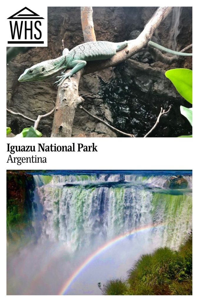 Text: Iguazu National Park, Argentina. Images: above, a lizard; below, the waterfall with a rainbow.