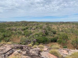 A view over a flat landscape covered in low shrubs.