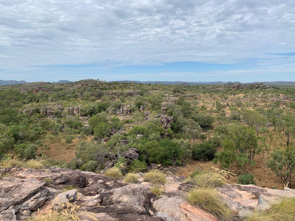 A view over a mostly flat landscape covered in low trees and grasses and rocky places.