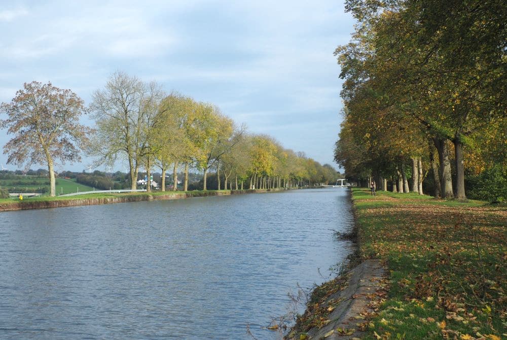 A view down the canal with rows of trees alongside it.