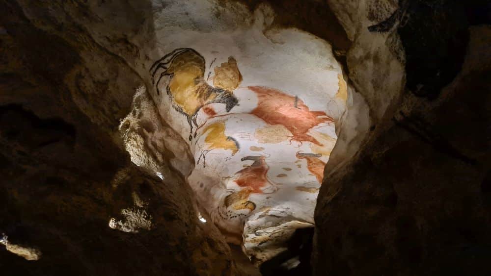 A cave ceiling covered in images of bulls in shades of brown.