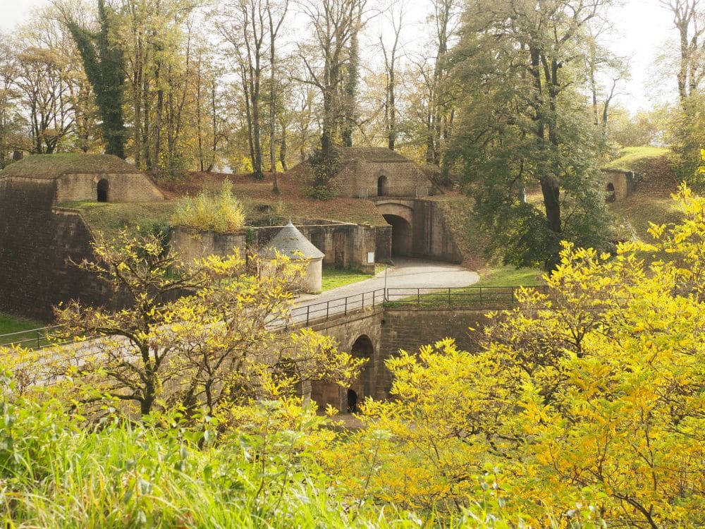 A park-like area, but some stone and earthen embankments are visible.