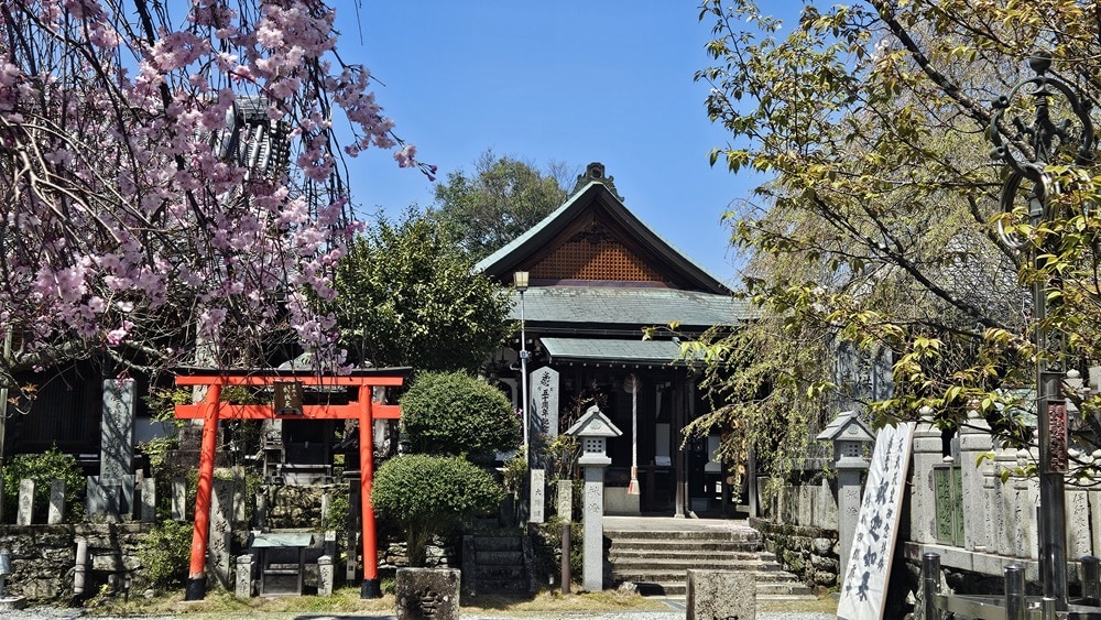 A small shrine with a cherry tree covered in pink blossoms.